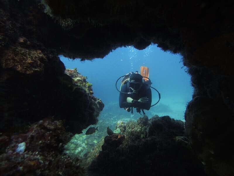 Cancun: 2 Reef Dives at Punta Cancun for Certified Divers - Good To Know  