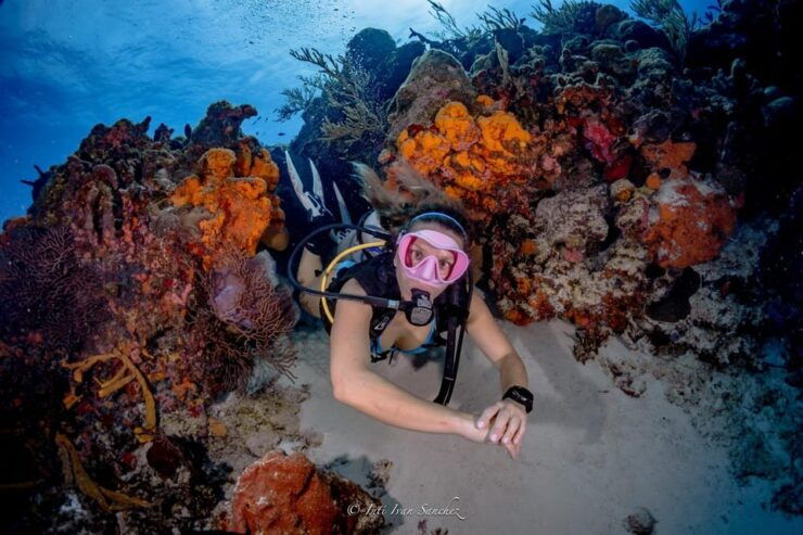 Cancun: 2-Tank Certified Diving: Explore Shallow Reefs - Booking Details