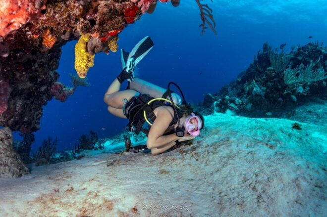 Cancun: 2-Tank Certified Diving: Explore Shallow Reefs - Included Amenities