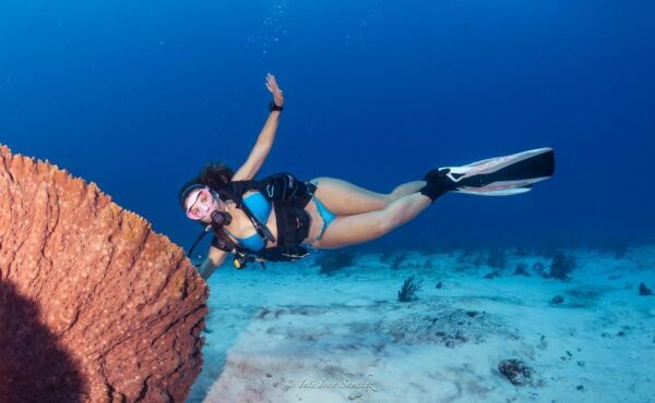 Cancun: 2-Tank Certified Diving: Explore Shallow Reefs - Frequently Asked Questions