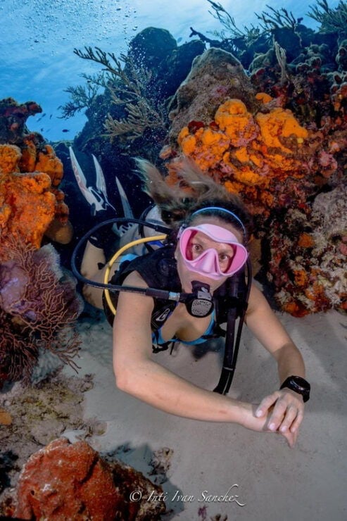Cancun: 2-Tank Certified Diving: Explore Shallow Reefs - Good To Know