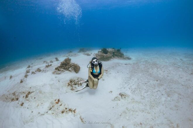 Cancun: 2-Tank Certified Diving: Explore Shallow Reefs - Highlights