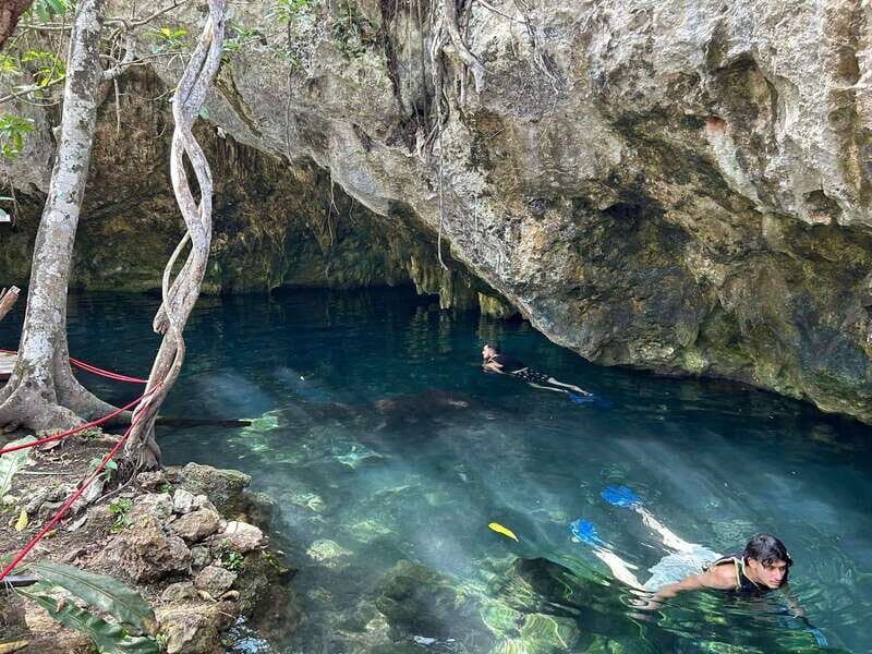 Cancun: 3 Cenotes & 1 Lagoon Tour - An In-Depth Look at the Tour Experience