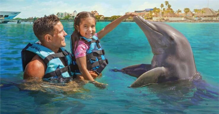 Cancun: 3 Day Package Family Activities - Dolphin Encounter in Isla Mujeres