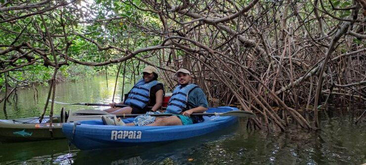 Cancun: 3-Hour Kayak Tour in Nichupte Lagoon - Tour Details and Inclusions