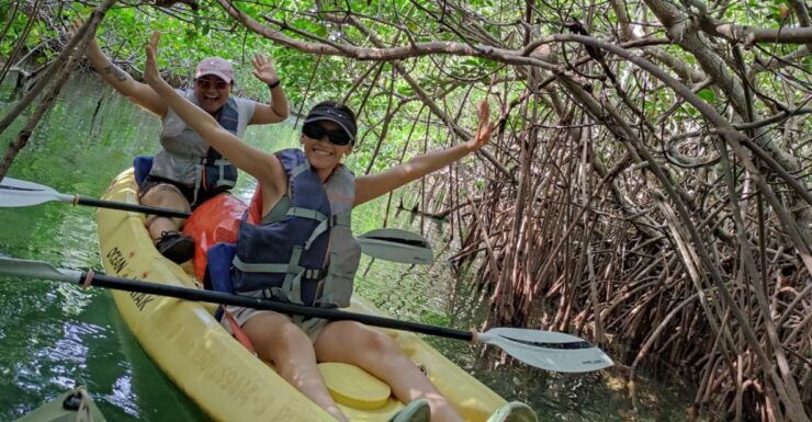 Cancun: 3-Hour Kayak Tour in Nichupte Lagoon - Experience Highlights and Wildlife Viewing