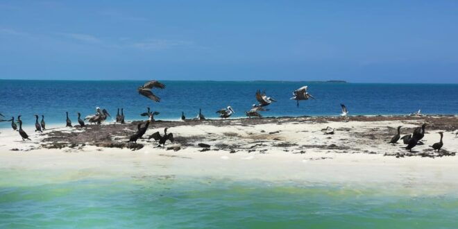 Cancun: 3 Islands Snorkel Adventure - Booking Information