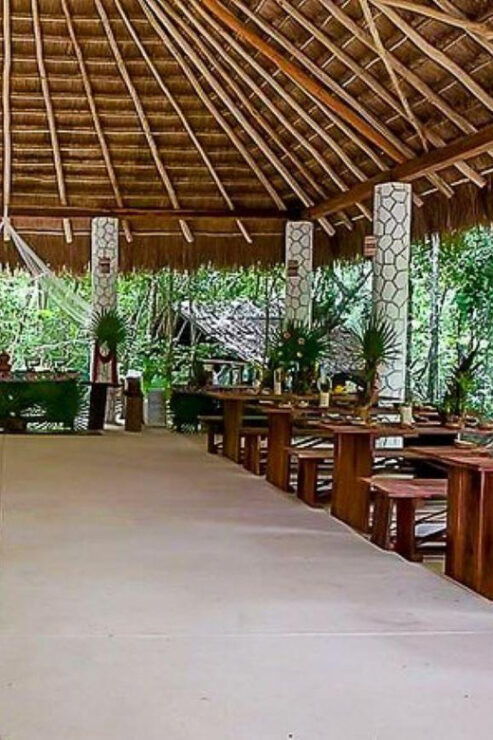 Cancun: 4 Best Cenotes Private Tour - Cenote Experiences