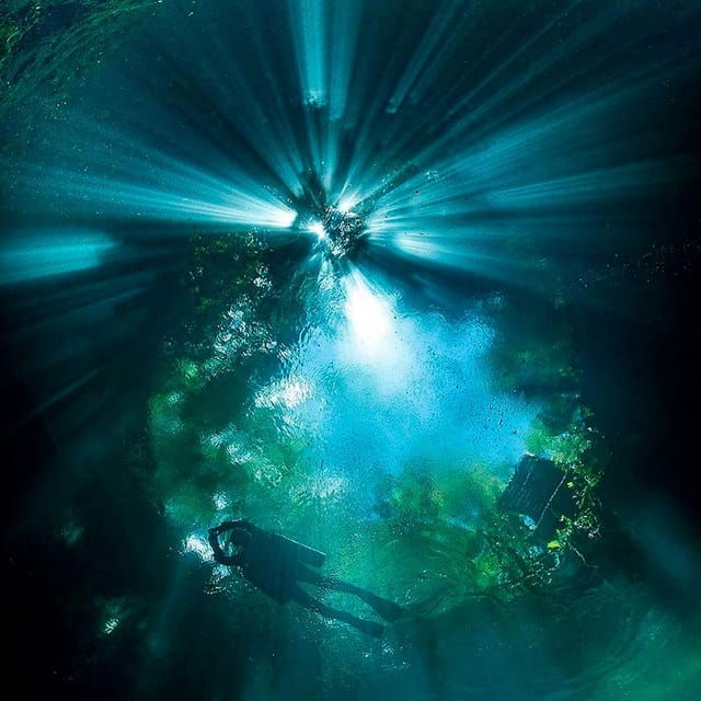 Cancun: 4 Best Cenotes Private Tour - Amenities