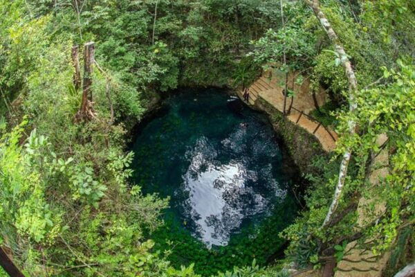Cancun: 4 Best Cenotes Private Tour - Discover Cenote Las Palmas