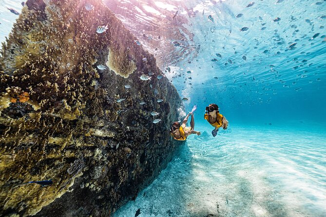 Cancun 5-Stop Snorkeling Tour With Jet Ski Ride - Customer Reviews and Satisfaction