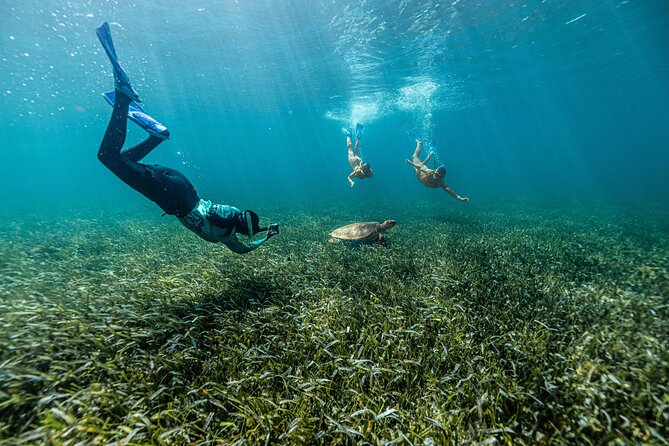 Cancun 5-Stop Snorkeling Tour With Jet Ski Ride - Equipment and Facilities