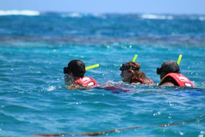 Cancun: an Adventure in the Jungle Aboard a Speedboat and Snorkel - Snorkel Equipment and Essentials Provided