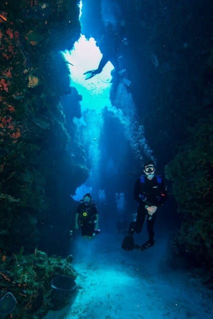 Cancun: Angelfish Discovery Package - Safety Assurances