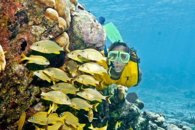 Cancun: ATV & Catamaran Adventure - Facilities and Refreshments