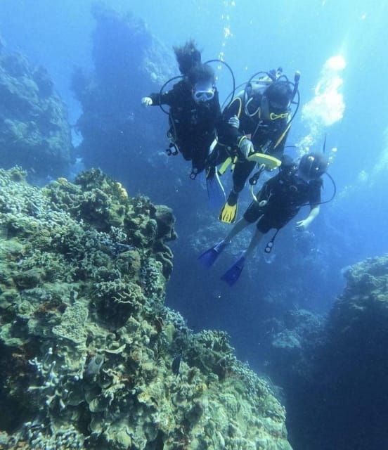Cancun: Barracuda Dive Expedition - Dive Experience Details
