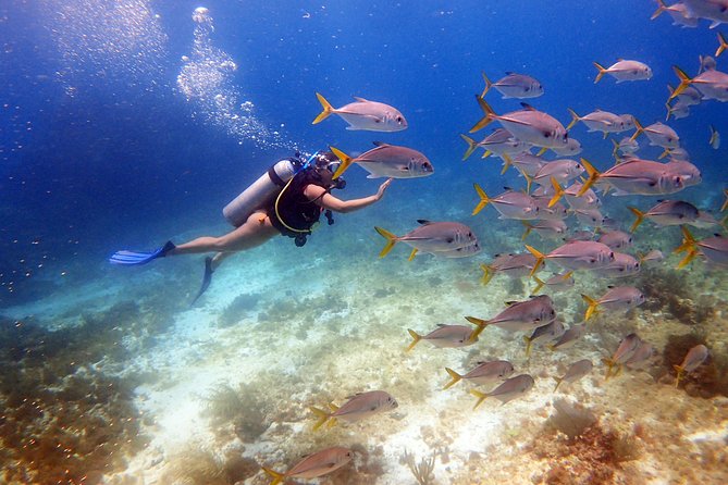Cancun Beginners Scuba: Two Tanks, Two Dives, No Dock Fees - Traveler Photos and Reviews