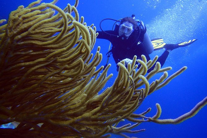 Cancun Beginners Scuba: Two Tanks, Two Dives, No Dock Fees - Anxiety and Personal Limitations, Expert Guidance and Instruction, Booking and Cancellation Information