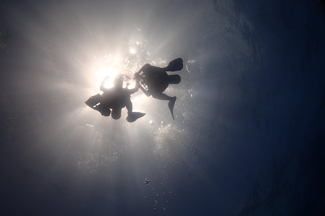 Cancun Beginners Scuba: Two Tanks, Two Dives, No Dock Fees - Directions