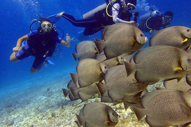Cancun Beginners Scuba: Two Tanks, Two Dives, No Dock Fees - Common Questions