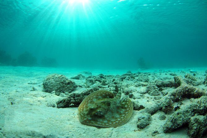 Cancun Best Deal 3x1: Snorkeling, Zip Lines & Rappel - The Itinerary Breakdown