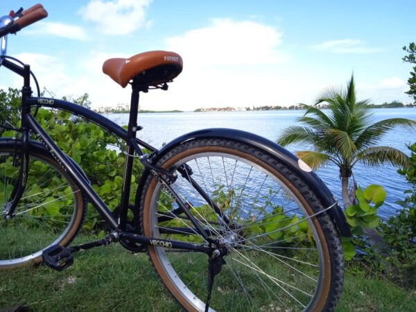 Cancún: Bicycle Rental - Biking Safety