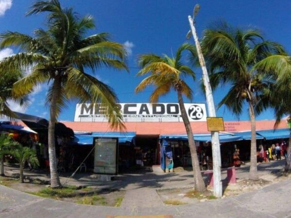 Cancun: Cancun City Tour - Tequila and Chocolate Tastings