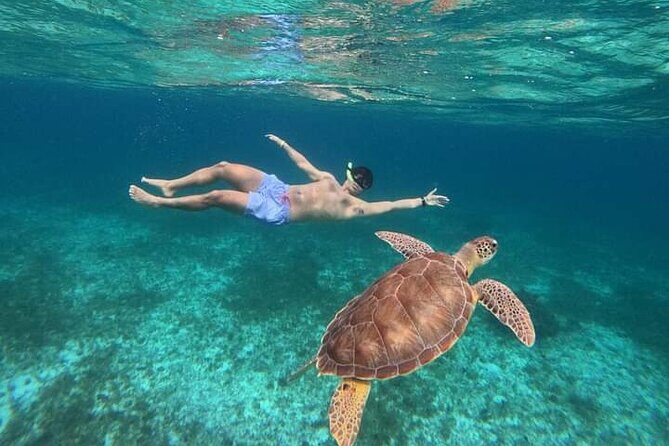 Cancun Catamaran: Sail to Isla Mujeres + Buffet & Drinks - Good To Know