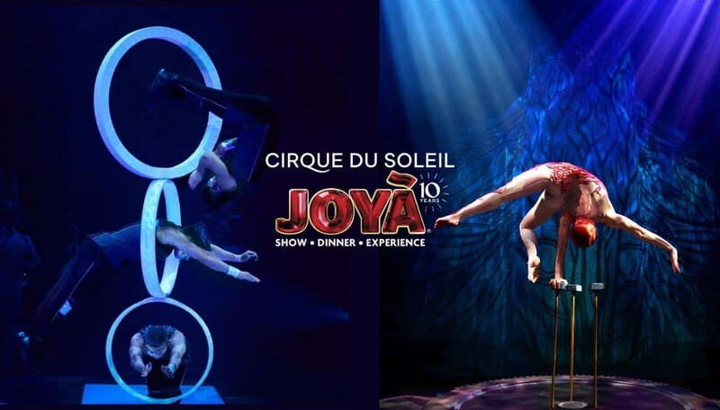 Cancún: Cirque du Soleil JOYÀ Entry Ticket and Transfer - The Experience: What to Expect from Cirque du Soleil JOYÀ
