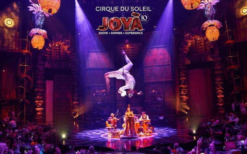 Cancún: Cirque du Soleil JOYÀ Entry Ticket and Transfer - Who This Tour Is Best For
