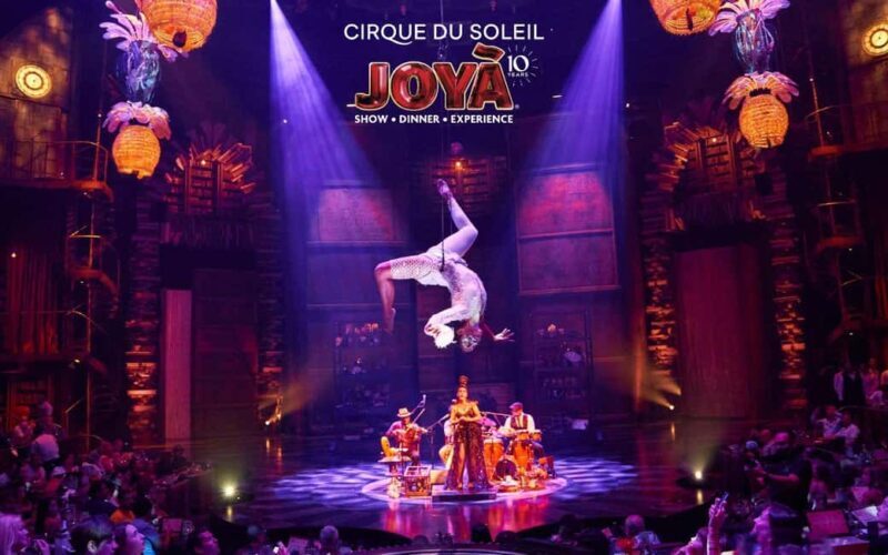 Cancún: Cirque du Soleil JOYÀ Ticket - Good To Know