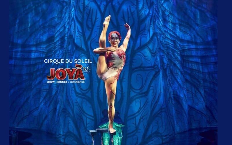 Cancún: Cirque du Soleil JOYÀ Ticket - The Experience: What to Expect at Cirque du Soleil JOYÀ