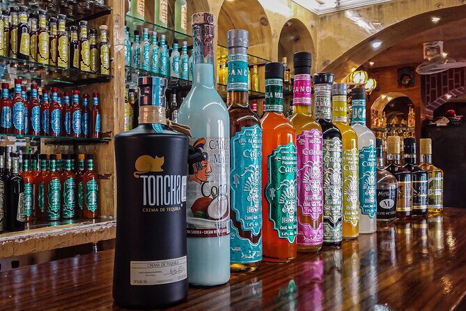 Cancun City Private Half-Day Guided Tour - A Closer Look at the Itinerary