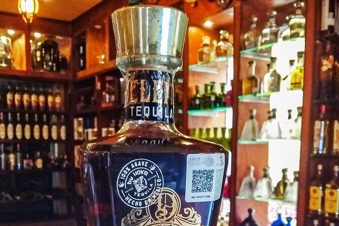 Cancun City Private Half-Day Guided Tour - Who Will Love This Tour?