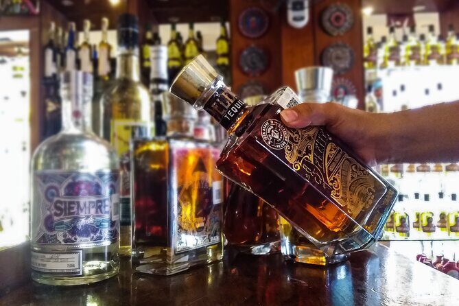 Cancun City Private Half-Day Guided Tour - Final Thoughts