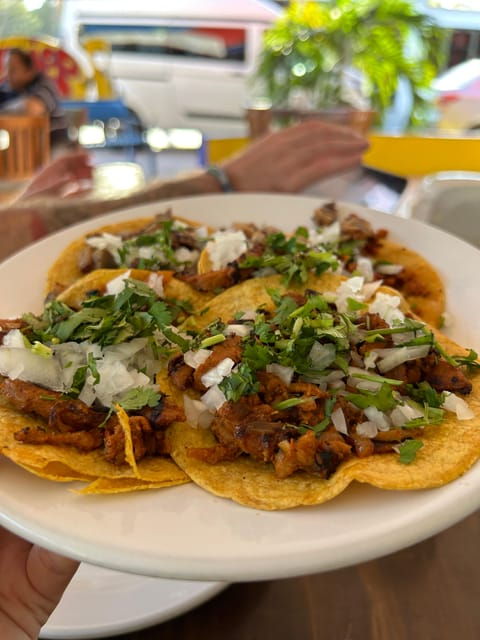 Cancun City Taco Tour With Transportation - Cultural Experience