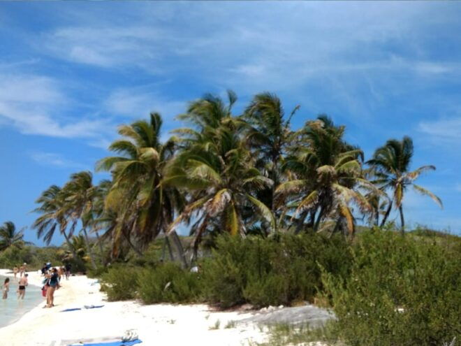 Cancún: Contoy and Isla Mujeres Boat Tour With Snorkelling - Snorkeling at Contoy Island