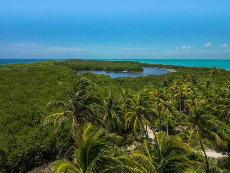 Cancún: Contoy and Isla Mujeres Boat Tour With Snorkelling - Itinerary Highlights