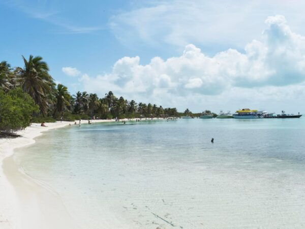 Cancún: Contoy and Isla Mujeres Boat Tour With Snorkelling - Important Considerations