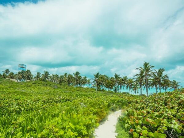 Cancún: Contoy and Isla Mujeres Boat Tour With Snorkelling - Customer Reviews and Ratings