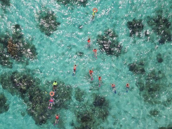 Cancún: Contoy and Isla Mujeres Boat Tour With Snorkelling - Frequently Asked Questions