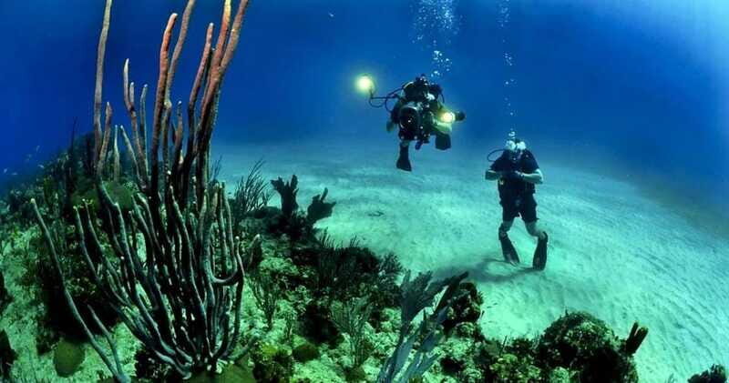 Cancún: Cozumel 2-Tank Diving Tour with Lunch & Transfers - Why This Tour Works for You