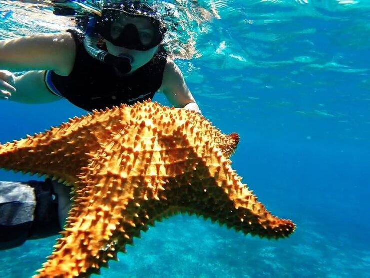 Cancun: Cozumel Island Catamaran, The Sky, Cielito Open Bar - Itinerary Details
