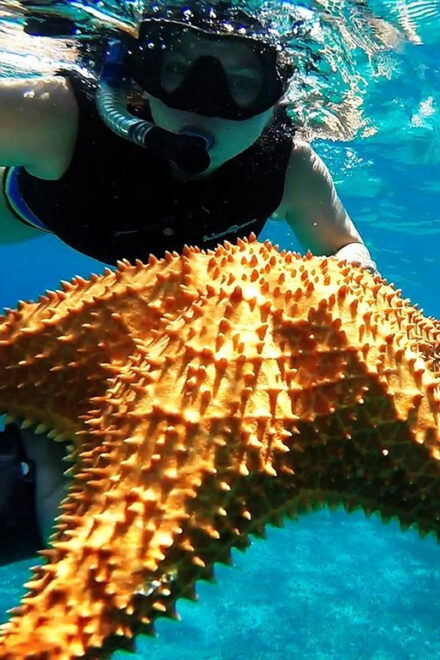 Cancun: Cozumel Island Catamaran, The Sky, Cielito Open Bar - Inclusions and Amenities