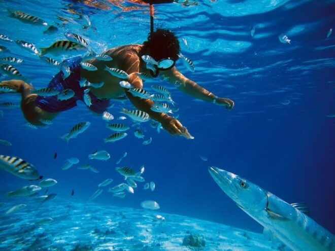 Cancun: Cozumel Island Catamaran, The Sky, Cielito Open Bar - Participant Guidelines