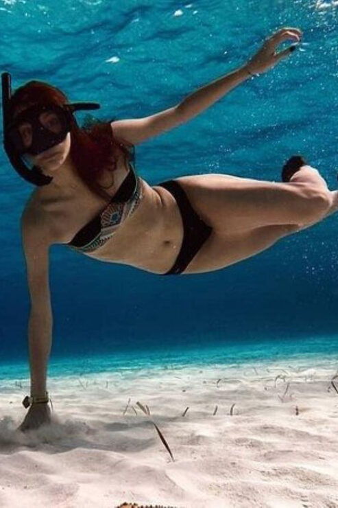 Cancun: Cozumel Snorkel Experience - Good To Know