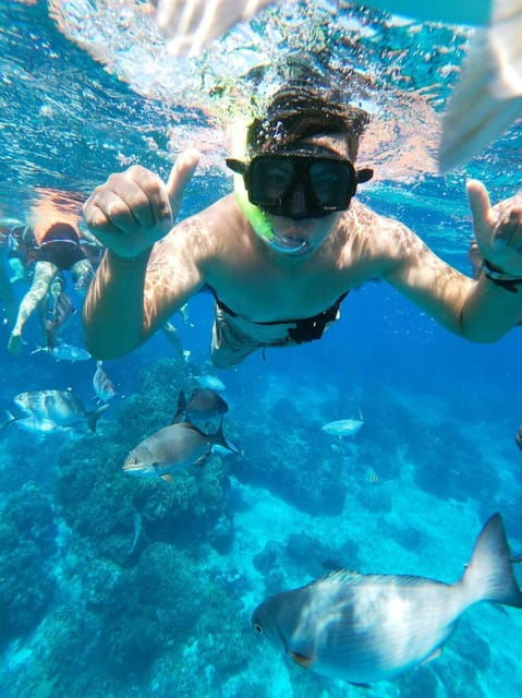 Cancun: Cozumel Snorkel Experience - Pricing and Inclusions
