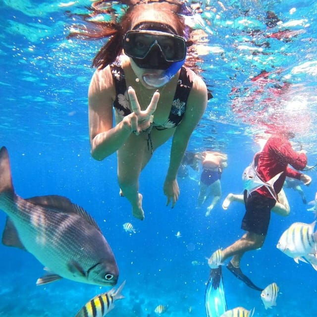 Cancun: Cozumel Snorkel Experience - Transportation and Itinerary