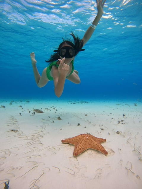 Cancun: Cozumel Snorkel Experience - Snorkeling Spots