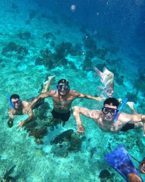 Cancun: Cozumel Snorkel Experience - Dining and Refreshments